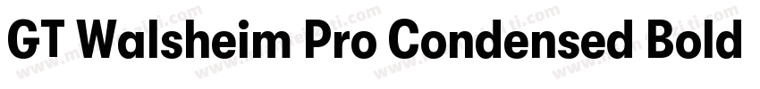 GT Walsheim Pro Condensed Bold字体转换